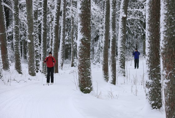 ”Mä vaan en hiihdä”