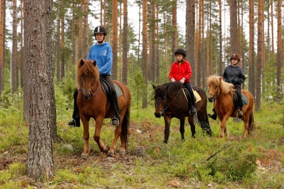 Liikuntapalveluiden arvonlisävero vaihtelee